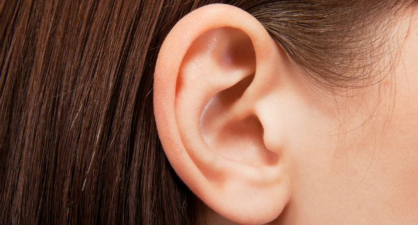 An 2-million-year-old fossil has cracked the mystery of human hearing