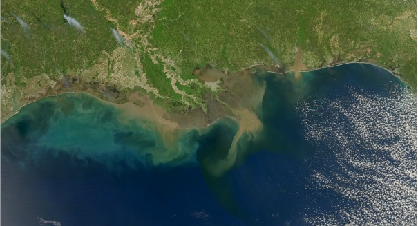 A Huge Chunk of the Gulf of Mexico is Dead