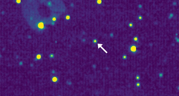 Astonishing discovery beyond Pluto