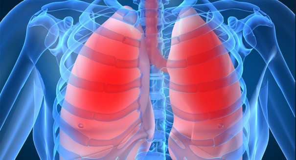 Stunning discovery has huge implications for the ‘Superbug’