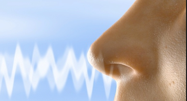 The incredible truth about the human nose