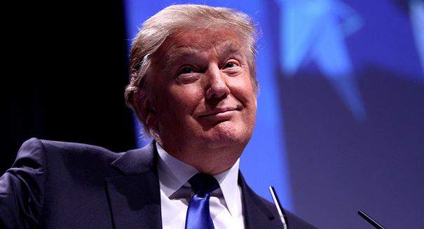 Meet the bizarre Robot Donald Trump
